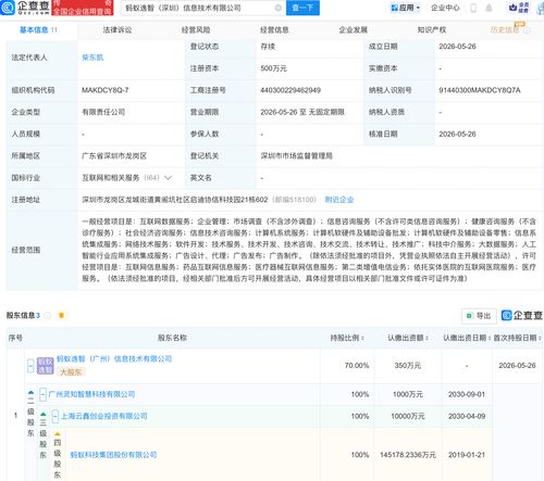 蚂蚁集团携手伙伴成立信息技术公司，聚焦AI及信息系统集成服务